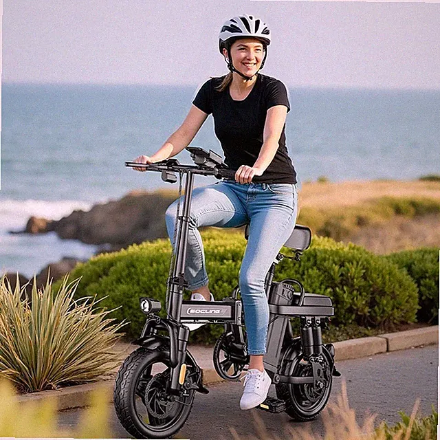 Folding E-bike 14'' Adults Electric Bike 500W Hub Motor 27MPH Commuter E-Bicycle