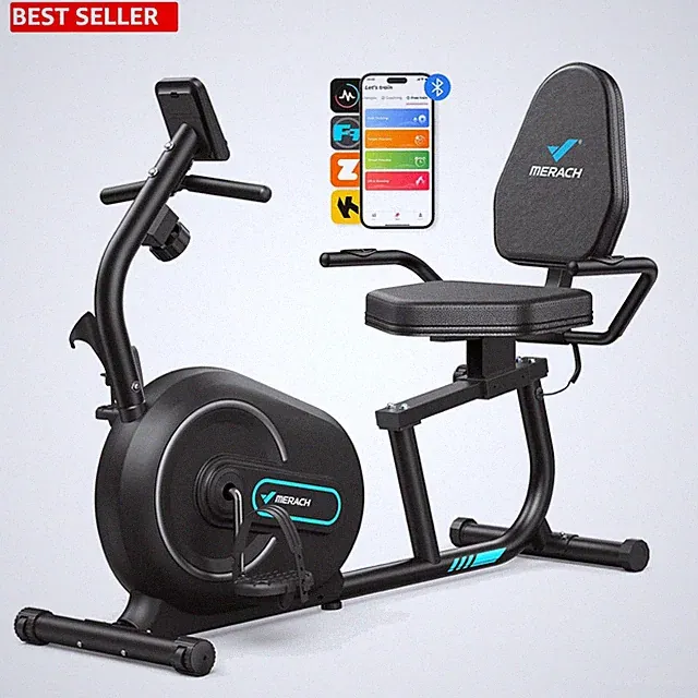 Magnetic Resistance Recumbent Bike - Portable & Quiet for Seniors - 300 lbs